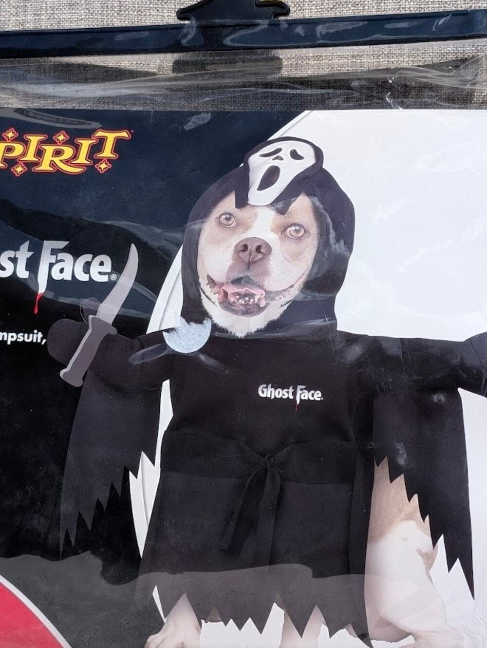 Spirit Halloween Store Ghost Face Halloween Costume for Dogs 18-28lbs